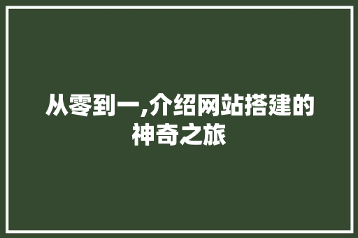 从零到一,介绍网站搭建的神奇之旅 前端技术