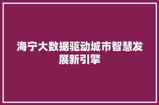 海宁大数据驱动城市智慧发展新引擎