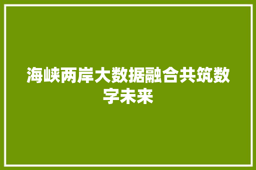 海峡两岸大数据融合共筑数字未来