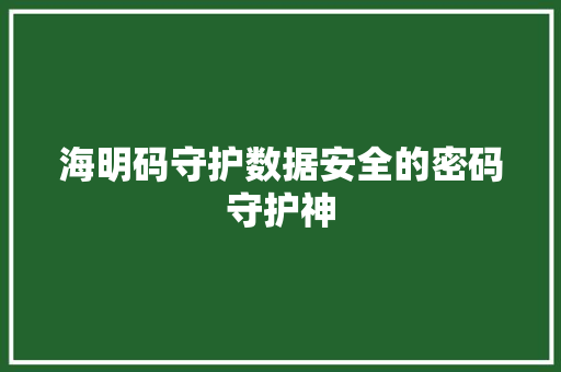 海明码守护数据安全的密码守护神