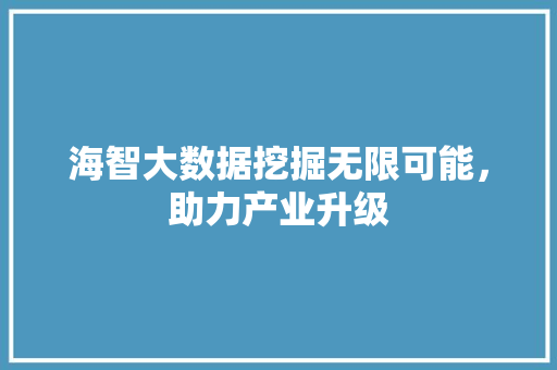 海智大数据挖掘无限可能，助力产业升级