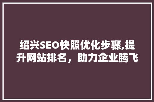 绍兴SEO快照优化步骤,提升网站排名，助力企业腾飞