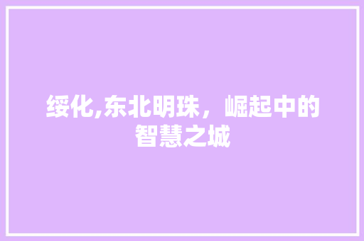 绥化,东北明珠，崛起中的智慧之城 缓存Redis