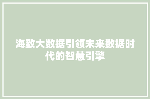 海致大数据引领未来数据时代的智慧引擎