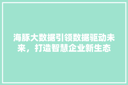 海豚大数据引领数据驱动未来，打造智慧企业新生态