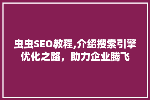 虫虫SEO教程,介绍搜索引擎优化之路，助力企业腾飞 响应式设计