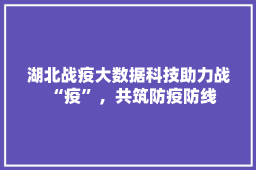 湖北战疫大数据科技助力战“疫”，共筑防疫防线