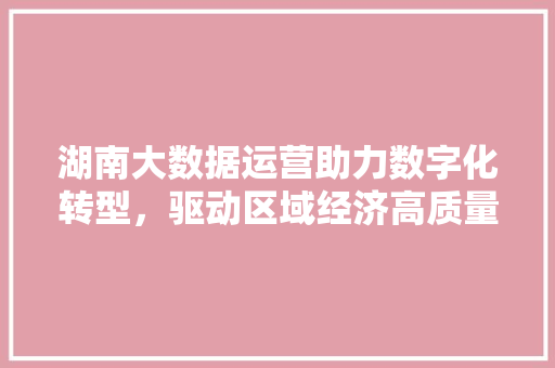 湖南大数据运营助力数字化转型，驱动区域经济高质量发展
