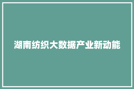 湖南纺织大数据产业新动能