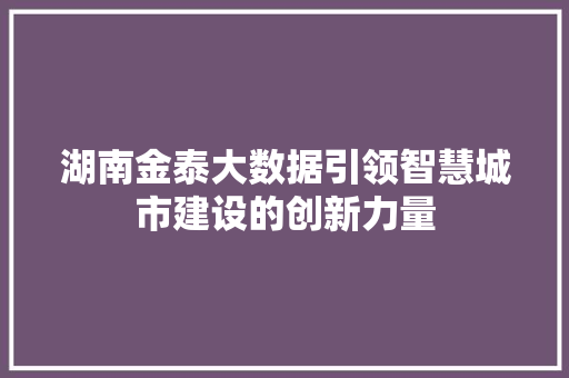 湖南金泰大数据引领智慧城市建设的创新力量