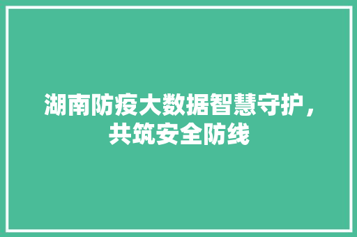 湖南防疫大数据智慧守护，共筑安全防线
