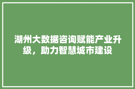 湖州大数据咨询赋能产业升级，助力智慧城市建设