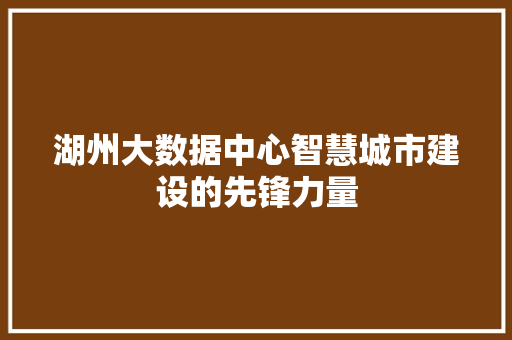 湖州大数据中心智慧城市建设的先锋力量