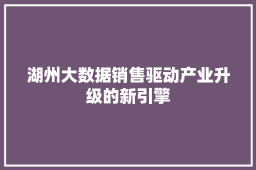 湖州大数据销售驱动产业升级的新引擎