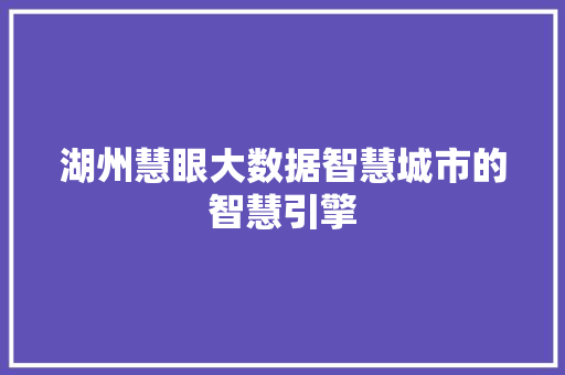 湖州慧眼大数据智慧城市的智慧引擎