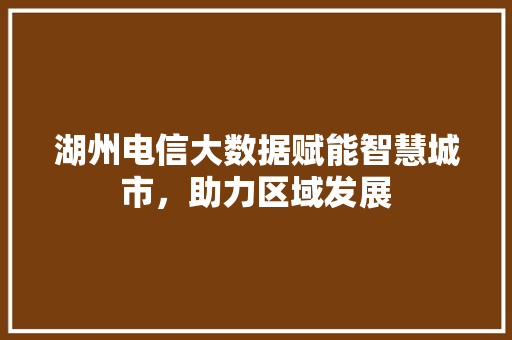 湖州电信大数据赋能智慧城市，助力区域发展
