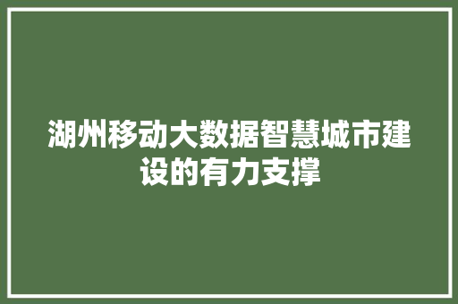 湖州移动大数据智慧城市建设的有力支撑