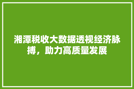 湘潭税收大数据透视经济脉搏，助力高质量发展