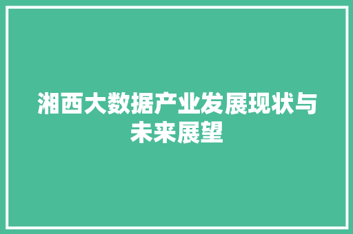 湘西大数据产业发展现状与未来展望