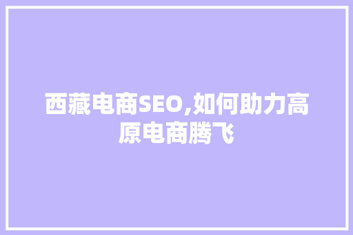 西藏电商SEO,如何助力高原电商腾飞
