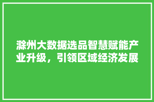 滁州大数据选品智慧赋能产业升级，引领区域经济发展新趋势