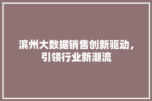 滨州大数据销售创新驱动，引领行业新潮流