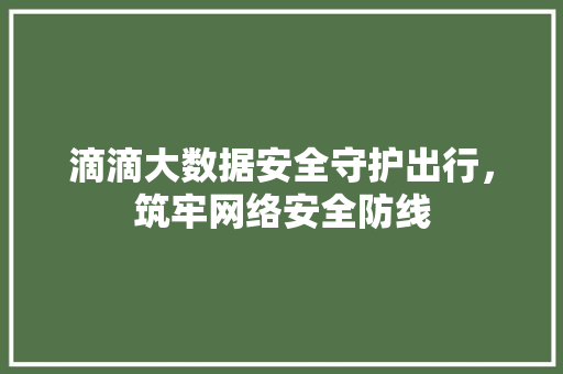 滴滴大数据安全守护出行，筑牢网络安全防线