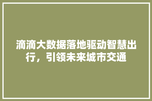 滴滴大数据落地驱动智慧出行，引领未来城市交通