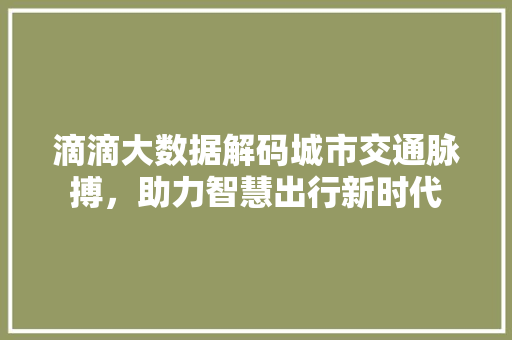 滴滴大数据解码城市交通脉搏，助力智慧出行新时代