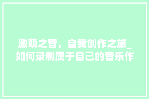 激萌之音，自我创作之旅_如何录制属于自己的音乐作品
