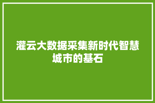 灌云大数据采集新时代智慧城市的基石