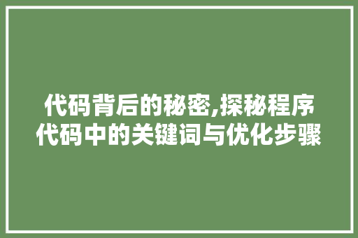代码背后的秘密,探秘程序代码中的关键词与优化步骤 网站建设
