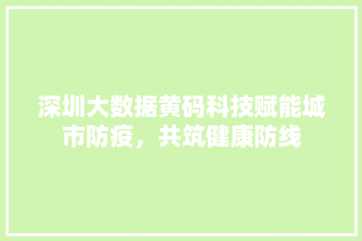 深圳大数据黄码科技赋能城市防疫，共筑健康防线