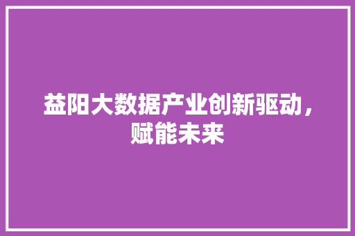 益阳大数据产业创新驱动，赋能未来