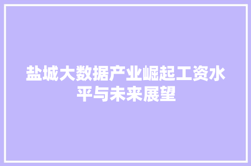 盐城大数据产业崛起工资水平与未来展望