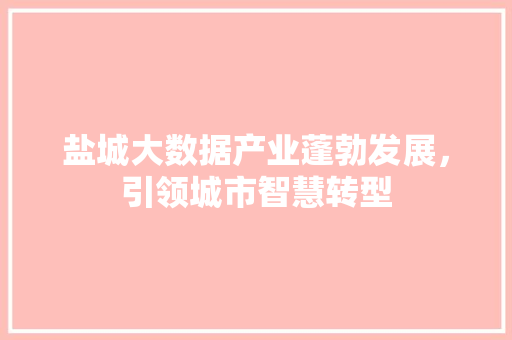 盐城大数据产业蓬勃发展，引领城市智慧转型