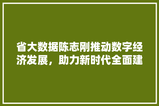 省大数据陈志刚推动数字经济发展，助力新时代全面建设社会主义现代化国家