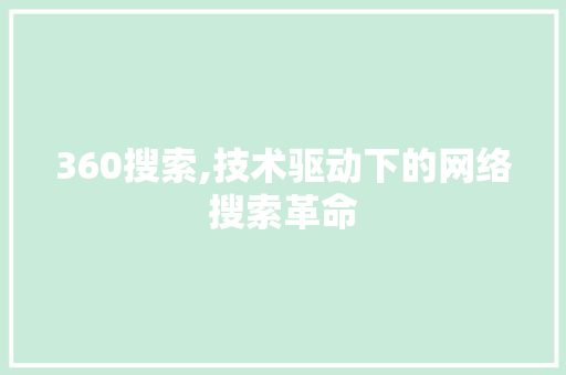 360搜索,技术驱动下的网络搜索革命 项目报告