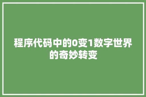 程序代码中的0变1数字世界的奇妙转变