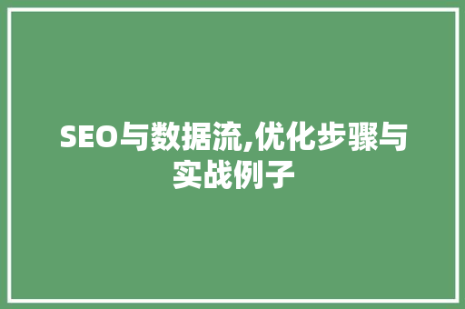 SEO与数据流,优化步骤与实战例子 项目报告