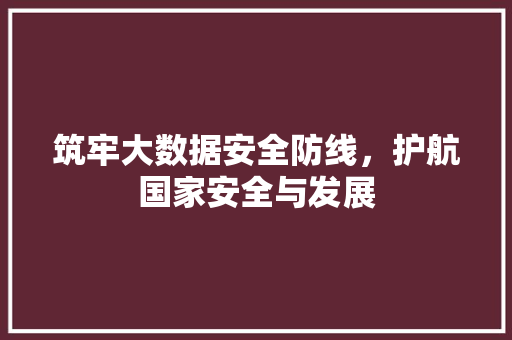 筑牢大数据安全防线，护航国家安全与发展