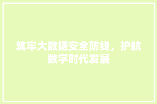 筑牢大数据安全防线，护航数字时代发展