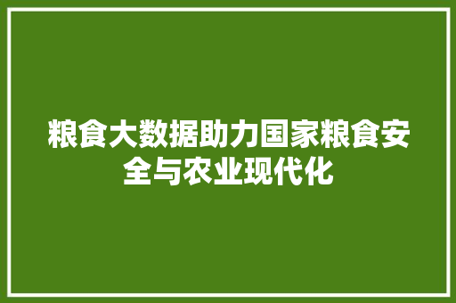 粮食大数据助力国家粮食安全与农业现代化