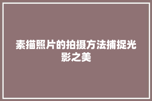 素描照片的拍摄方法捕捉光影之美