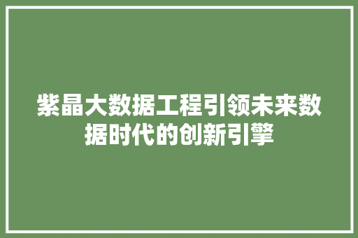 紫晶大数据工程引领未来数据时代的创新引擎