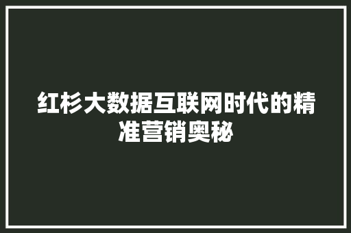 红杉大数据互联网时代的精准营销奥秘