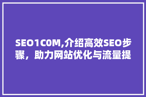 SEO1C0M,介绍高效SEO步骤，助力网站优化与流量提升 市场营销范文