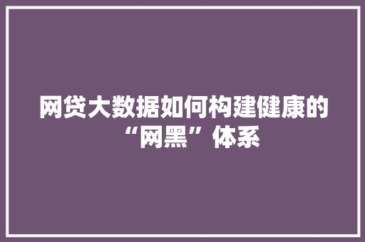 网贷大数据如何构建健康的“网黑”体系