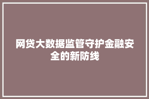 网贷大数据监管守护金融安全的新防线