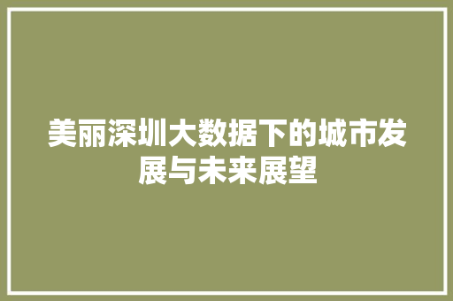 美丽深圳大数据下的城市发展与未来展望